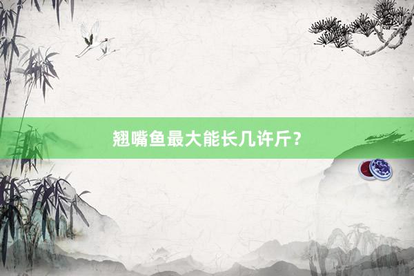 翘嘴鱼最大能长几许斤？